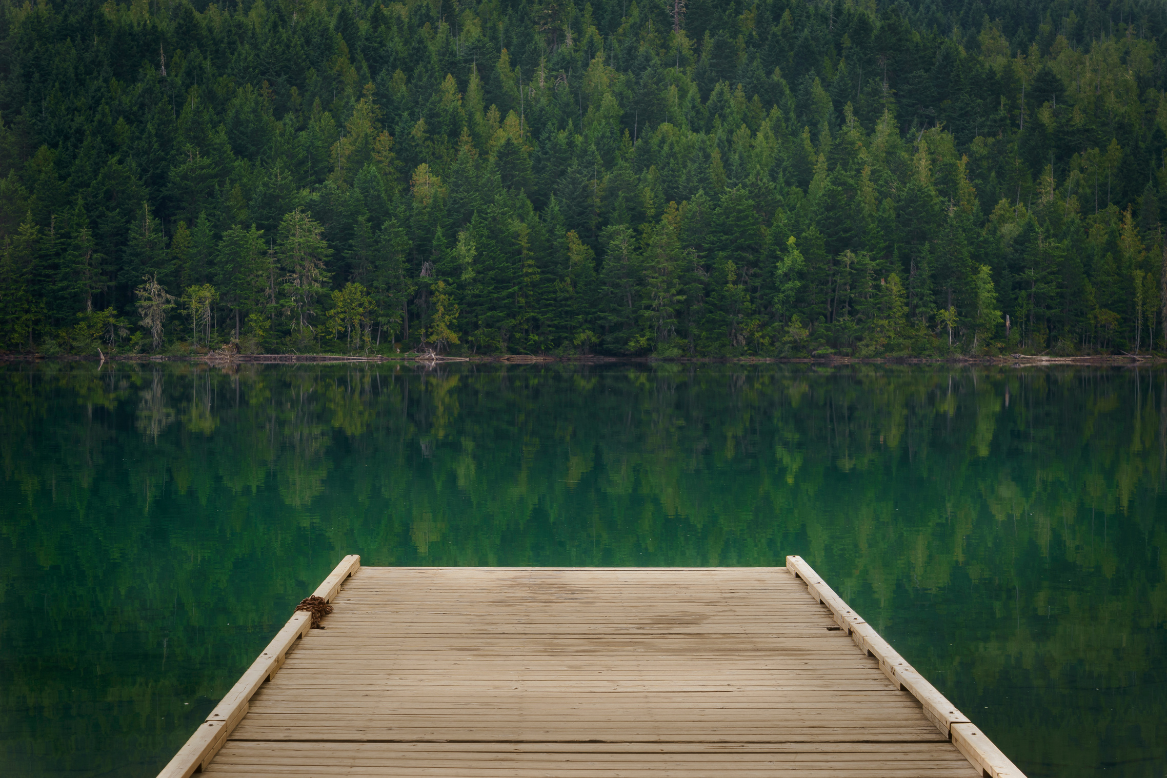 Dock at Clearwater Lake, Wells Gray Provincial Park, North Thomp